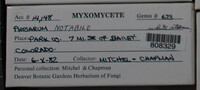 Image Associated With the Occurence